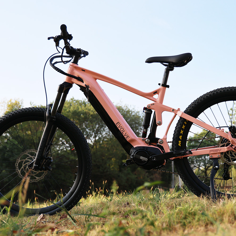 electric mountain bike
