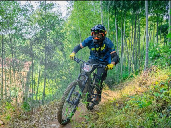 electric mountain bike
