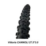electric mountain bike