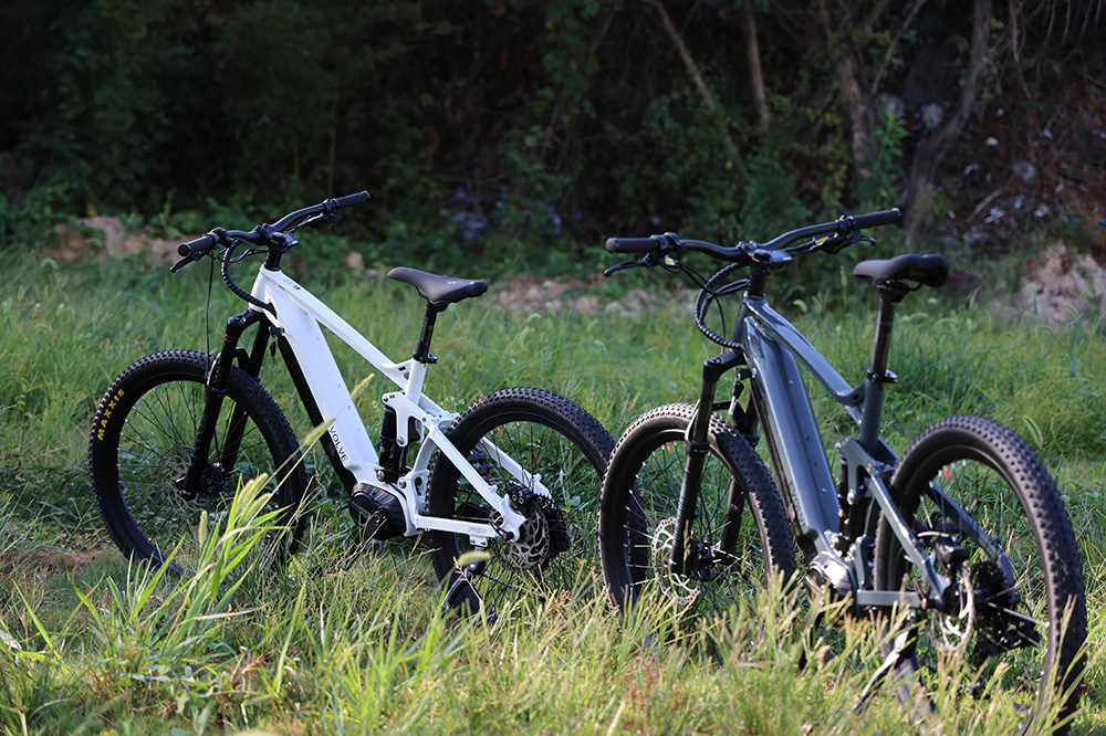electric mountain bike